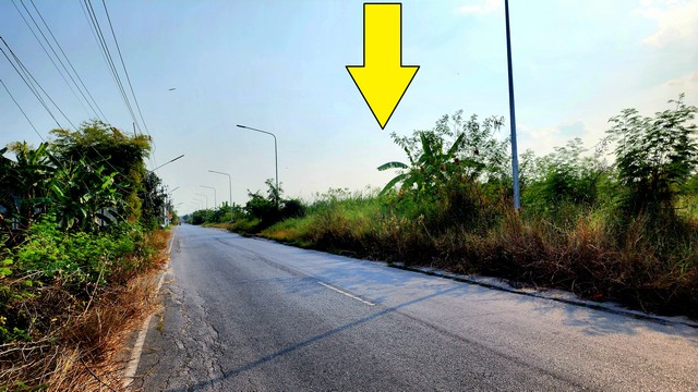 ขายที่ดินติดถนนลาดยางคลอง 9-10 ธัญบุรี-ลำลูกกา มีเนื้อที่ 8 ไร่ ทำเลดี เหมาะ ทำค้าขาย ทำโกดัง โรงงานเล็กๆ ออฟฟิศ บริษัท ร้านค้า  ต่างๆ