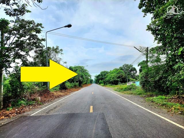 สนใจติดต่อ คุณ เจน พณิชญา  093-954-6563ขายที่ดินติดถนนลาดยางเรียบคลอง คลอง 11 หนองเสือ *** ขายราคาไร่ละ 550,000 บาท ***( มีเนื้อที่ 89-0-19 ไร่ )ขายที่ดินติดถนนเรียบคลอง 11 หนองเสือ 89 ไร่  เหมาะทำจัดสรรที่ดินแบ่งขายได้ ทำโครงการบ้านสวน ทำการเกษตร-ทำนา-ทำสวน ทำฟาร์มหรือ ซื้อเก็บไว้ได้เลยที่ตั้ง : ถนนเรียบคลอง11 ( ฝั่งตะวันตก ) ตำบล บึงกาสาม อำเภอ หนองเสือ ปทุมธานี 12170ที่ดินเนื้อที่ 89-0-19 ไร่ ค