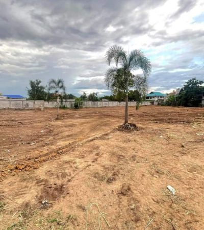 ติดต่อ หลิน 088 598 6998 Line ID: positive.agราคา 12 ลบ* เพียง ตร.วา ละ 29,000 บาทขายด่วนๆๆ ที่ดินสวย ราคาถูก ทำเลดีมากๆใกล้ : สนามกีฬา ต.สุเทพ อ.เมืองเชียงใหม่เนื้อที่ 1-0-14 ตร.วา . สร้างบ้านก็สวย ทำหอพัก ก็ได้ เก็บไว้กำไรงาม หน้ากว้าง 30 เมตร . ที่ตั้ง ต.สุเทพ อ.เมือง จ.เชียงใหม่อยู่หลังวัดโป่งน้อยจาก มช 10 นาทีจากสนามบิน 10 นาทีใกล้ 7-11, โลตัส go fresh หาของกินง่ายรพ.สวนดอก 10 นาทีรอบๆที่ดิน มีบ้าน มีวิวดอยโ