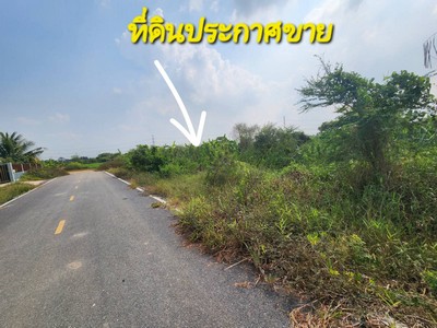 ขายที่ดินเปล่า พื้นที่ 200 ตรว. เหมาะปลูกบ้านพักอาศัย ถนนคอนกรีตหลัง โรงเบียร์ไฮเนเก้น , คลองขุนศรี , ห้าแยกโรงเบียร์ อ.ไทรน้อย จ.นนทบุรี ใกล้ถนน 340 บางบัวทอง – สุพรรณบุรี.ขายที่ดินเปล่า พื้นที่ 200 ตรว. เหมาะปลูกบ้านพักอาศัย หน้ากว้างลึกรวม 56x19 เมตร เทถนนคอนกรีต ทำเลที่ตั้ง หลัง โรงเบียร์ไฮเนเก้น , คลองขุนศรี , ห้าแยกโรงเบียร์ อ.ไทรน้อย จ.นนทบุรี เข้าออก ถนน 3004 , ถนน 5036 ใก