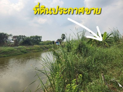 ขายที่ดินเปล่า พื้นที่ 200 ตรว. เหมาะปลูกบ้านพักอาศัย ถนนคอนกรีตหลัง โรงเบียร์ไฮเนเก้น , คลองขุนศรี , ห้าแยกโรงเบียร์ อ.ไทรน้อย