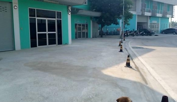 ให้เช่าโกดัง 350-1000 ตรม ย่านสุขสวัสดิ์ ประชาอุทิศ พระสมุทรเจดีย์ สมุทรปราการ