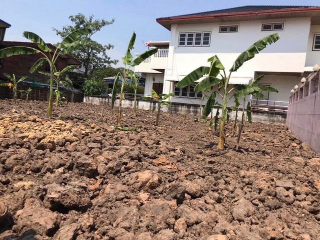 ขายที่ดินถมแล้ว 90 ตร วา หน้ากว้าง 18 เมตร ลึก 20 เมตร บ้านและสวน 4 ใกล้สมาคมชาวปักษ์ใต้ถ.กาญจนาภิเษก