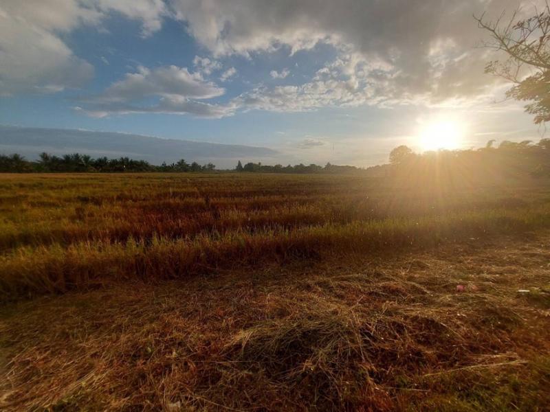  M25763ขายที่ดินเปล่า ถนนย่าพาย บวกค้าง สันกำแพง เชียงใหม่ รายละเอียดเนื้อที่ 1 งาน 32.1 ตารางวาติดถนนย่าพาย เหมาะทำโครงการบ้านจัดสรรที่ดินหันไปทางทิศเหนือผังเมืองสีเขียวค่าโอนคนละครึ่ง สถานที่ใกล้เคียงวัดย่าพายโรงเรียนบ้านร้อยพร้อม ******ราคา 924,700 บาท ****** สนใจสามารถนัดชมสถานที่ได้ พร้อมติดต่อสินเชื่อฟรีติดต่อ ฉัตรยา(ยาย่า) 085-509-9011Line id :yayazzzz หรือกด https://line.me/ti/p/wPxPHPtk2WWhatsApp +66855099011Realty 