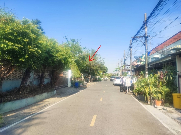  ขายที่ดินเปล่า ห่างจากรถไฟฟ้า 450 เมตร เหมาะสำหรับปลูกบ้านอยู่อาศัยขายที่ดินปล่า ห่างจากรถไฟฟ้า 450 เมตร เหมาะสำหรับปลูกบ้านอยู่อาศัย สร้างออฟฟิศประเภทอสังหาฯ : ที่ดินเปล่าชื่อโครงการ : เกล้ารัตนา บางใหญ่สถานะบ้านปัจจุบัน : ว่างพื้นที่ที่ดิน : 172 ตารางวาตารางวาละ 38,000 บาทหน้ากว้าง : 20 เมตรหน้าบ้านหันทางทิศ : ใต้จุดเด่น : การเดินทางสะดวก ห่างจากถนนรัตนาธิเบศร์ 450 เ