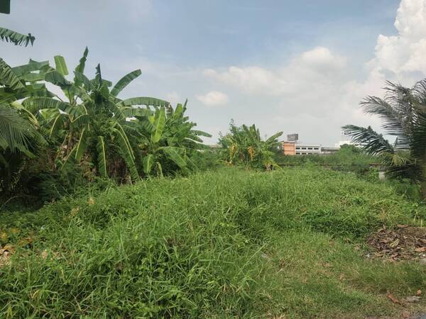 ขายที่ดินเปล่า 172 ตารางวา ห่างจากรถไฟฟ้า 450 เมตร เหมาะสำหรับ สร้างออฟฟิต หรือ ปลูกบ้านอยู่อาศัย