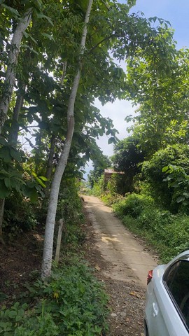 ขายที่ดินติดลำธาร ลำน้ำมวบ จ.น่าน เมืองเหนือ ต.พงษ์ อ.สันติสุข จ.น่าน เนื้อที่ 3 ไร่ 35 ตร.ว ราคา 800,000 บาท เอกสารสิทธิ์ นส.3 ก.ใกล้แหล้งชุมชนน้ำไฟเข้าถึง วิวงามธรรมชาติสมบูรณ์ ทิวเขาล้อมรอบ ลำธารผ่านข้างแปลงทั้งแถบ รูปที่ดินเป็นรูปสี่เหลี่ยมคางหมู น้ำใสไหลรินฉ่ำชุ่มเย็นสบายชุ่มฉ่ำสดชื่นเย็นสบายตลอดปี ไอหมอกยามเช้าแสนบริสุทธิ์ ท่ามกลางธรรมชาติ สดชื่นสวยงามตร