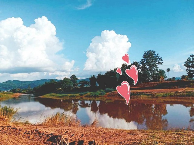 ขายที่ดินริมแม่น้ำน่าน ติดแม่น้ำน่าน ขนาดเนื้อที่ 1 ไร่ 5 ตร.วา มีที่งอก 3งาน ทำประโยชน์ได้ตาม ป.วิ.พ. มาตรา 1308 เช่ารวม  3000 บาท/ปี ขาย 800,000 บาท ค่าใช้จ่ายวันโอนครึ่งครึ่ง ซื้อผ่อนเจ้าของได้มีพื้นที่ส่วนงอก ฉ8971 ต.ศรีภูมิ อ.ท่าวังผา จ.น่านเอกสารสิทธิ์โฉนดครุฑแดง  วิวภูเขาล้อมรอบติดแม่น้ำบรรยากาศดีธรรมชาติสมบูรณ์สุดๆน้ำใสไกลรินชุ่มฉ่ำเย็นสบายตลอดปี ติดทางสาธารณประ