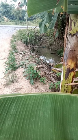 ขายบ้านพร้อมที่ดิน 262 ตารางวา หมู่ที่ 4 ต.โพทะเล อ.ค่ายบางระจัน จ.สิงห์บุรี เลขที่โฉนด 6942เอกสารสิทธิ์โฉนดครุฑแดง ขาย 500,000 บาท ค่าใช้จ่ายวันโอนทั้งหมดคนละครึ่งโปรโมชั่นพิเศษสุดสุด สามารถซื้อแบบผ่อนเจ้าของได้ติดถนนรถยนต์เข้า-ออกได้ ทางเข้าทางหลวงชนบท สห.3098 ใกล้คลองยางต้นเดีย คลองสาธารณประโยชน์และติดทางสาธารณประโยชน์ รถยนต์เข้าออกได้น้ำไฟถึงที่ ใกล้สถานที