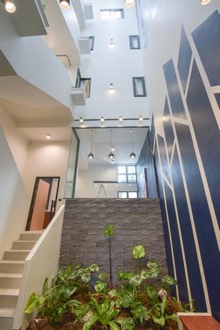 ให้เช่า-ขายโฮมออฟฟิศ 5.5 ชั้น  ใกล้BTS แบริ่ง ซอยสุขุมวิท 109 พื้นที่ใช้สอยรวม 326 ตรม. 5 ห้องนอน 6 ห้องน้ำ เหมาะทำเป็นออฟฟิศ