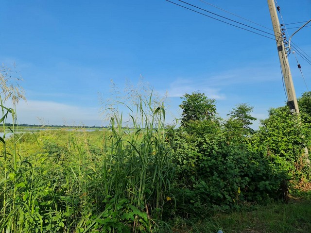 ขายที่ดิน 4-1-88 ไร่ ฉ.5028 ต.มหาราช อ.มหาราช จ.พระนครศรีอยุธยา โฉนด ไร่ละ 320,000 บาทแบ่งขาย ติดถนนคอนกรีต ถนนดำ ไฟฟ้าประปาเข้าถึงแล้ว สาธารณูปโภคครบครัน  คมนาคมเดินทางสะดวกสบาย ใกล้ทางหลวงทางหลัก 4007 ย่านแหล่งชุมชน อยู่ใกล้สถานที่สำคัญหลายแห่ง ใกล้ที่ว่าการอำเภอมหาราช โรงพยาบาลมหาราช โลตัสมหาราช โรงเรียนมหาราชประชานิมิต  การไฟฟ้า สำนักงานเทศบาลตำบลมหาราช สำนักงาน