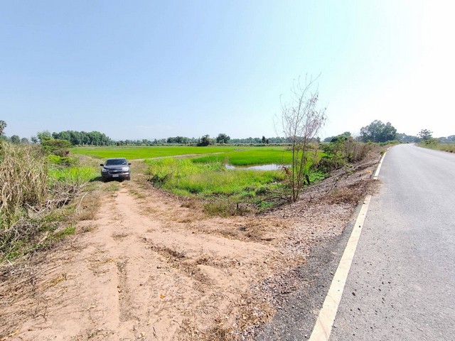 ขายที่นา 21-1-85 ไร่ หน้าติดถนนลาดยางกว้าง  หลัง สนง.ขนส่งแห่งที่ 2 พิษณุโลก