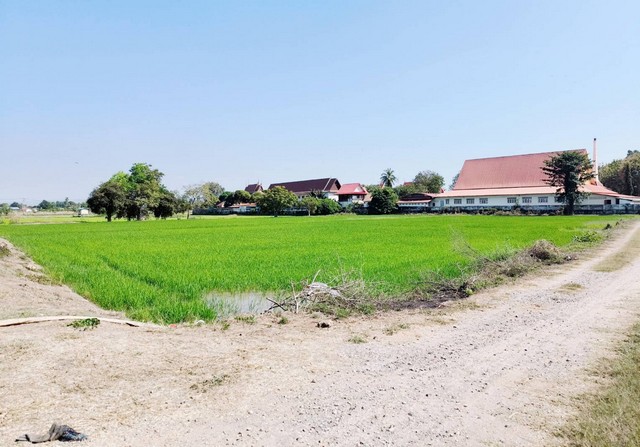 ขายที่นา 5-1-66 ไร่ หลังวัดคลองเมือง ใกล้สี่แยกอินโดจีน บขส.แห่งที่2