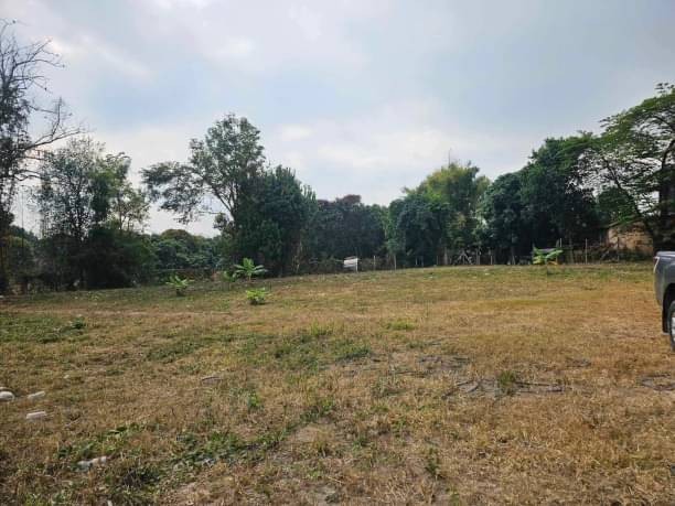 ที่ดินติดถนน วิวดอย ขายเริ่มที่ตรว.ละ 13,000 บาท #ดอนแก้ว #แม่ริม #เหมาะสำหรับสร้างหอพัก #บ้านจัดสรร เดินทางสะดวก เข้าเมืองเพียงไม่กี่นาที