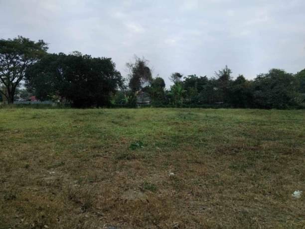 ที่ดินติดถนน วิวดอย ขายเริ่มที่ตรว.ละ 13,000 บาท #ดอนแก้ว #แม่ริม #เหมาะสำหรับสร้างหอพัก #บ้านจัดสรร เดินทางสะดวก เข้าเมืองเพียงไม่กี่นาที