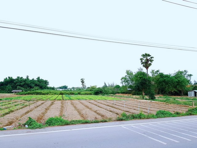 ขายที่ดิน ต.มาบแค อ.เมืองนครปฐม จ.นครปฐม  ขนาด 6 ไร่ 56 ตารางวา(เจ้าของขายเอง / รับนายหน้า)