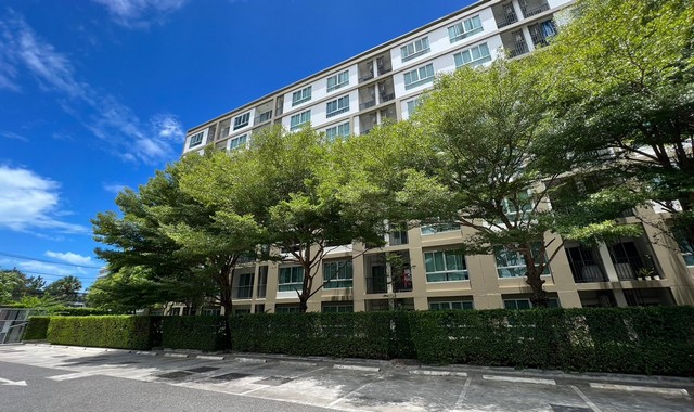  รายละเอียดเพิ่มเติม  Code ID :   PKK05-00971  ราคาขาย 1,595,000  บาท- พื้นที่ใช้สอย :   30.06 ตร.ม.- จำนวนห้อง :   1 ห้องนอน 1 ห้องน้ำ - ชั้นที่ : 2- อาคาร : A พิกัดทรัพย์ :  https://maps.app.goo.gl/3E9rU5d8mhGsk31k8    สถานที่ใกล้เคียง- ใกล้โรงพยาบาลหัวหิน- ใกล้ โรงพยาบาลกรุงเทพหัวหิน - ใกล้ซีเจ ซูเปอร์มาร์เก็ต สาขาเขาตะเกียบ- ใกล้Tops daily Hua - Hin 87  สอบถามเพิ่มเติม/นัดชมโทร. 097-419-5982(พลอย)โทร. 096-932-4624(ออมสิน)Line : @panaya (มี@ด้านหน้า)ปรึกษาสินเชื่อฟรี One Stop Serv