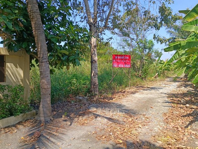 ขายที่ดินเปล่า เนื้อที่ 50 ตารางวา ซอยร่วมจิตต์ ถ. บางแวก บางแค กรุงเทพ