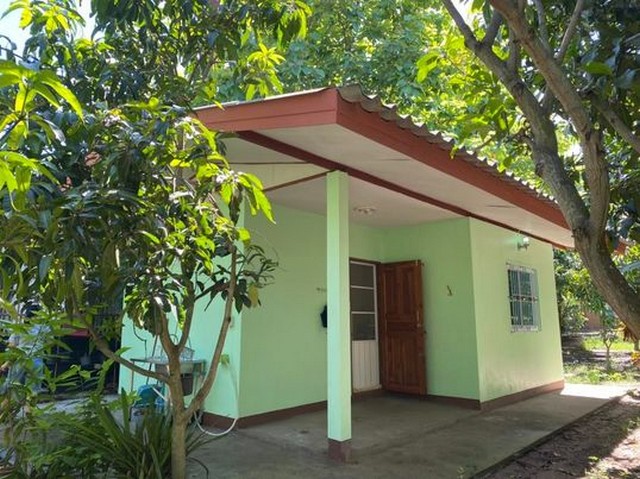 ขายที่ดิน 3-2-11ไร่ 2.5ล้านบาท ไฟฟ้า น้ำประปา สวนมะม่วงลำไย  ต.ดอยหล่อ อ.ดอยหล่อ เชียงใหม่