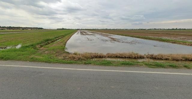 LS102 ขายที่ดินเปล่า ราคาถูก เนื้อที่26 ไร่  คลอง9ลำลูกกา ปทุมธานีขายไร่ละ 2,500,000 บาทเนื้อที่26 ไร่ 2 าน 13 ตารางวา-พื้นที่ดินรูปเส้นก๋วยเตี๋ยว-หน้ากว้าง 46 เมตร-ยาว 923 เมตร-เป็นที่นา-รีบซื้อตอนนี้ได้ราคาถูก หากที่ดินปรับพื้นที่สีแล้วจะไม่ขายราคานี้ ขอปรับขึ้นราคานะคะ-ปัจจุบันสีเขียว อนาคตจะเป็นสีม่วง-เหมาะสร้างโรงงานที่ตั้ง ถนนลำลูกกาคลอง9 ตำบลลำลูกกา อำเภอลำลูกกา จ