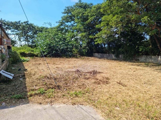 ขายที่ดินเปล่าสาธารณูปโภคครบ เนื้อที่ 137 ตรว ต.สันทรายหลวง