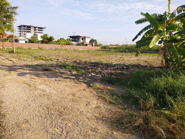 ขายที่ดินเปล่า 2 ไร่ ทำเลทอง ใกล้ ตลาดมารวย ตลาดวงศกร สายไหมอเวนิว โรงพยาบาลซีจีเอชสายไหม บิ๊กซีฟู้ดเพลสสายไหม47อยู่ในซอยหทัยราษฎร์ 63 ถนนหทัยราษฎร์ ตำบลลาดสวาย อำเภอลำลูกกา จังหวัดปทุมธานีที่ดินเปล่า สี่เหลี่ยมพื้นผ้าที่ดินแปลงจัดสรรล็อคขายถนนหน้าแปลงที่ดินกว้าง 8 เมตรตรงข้ามที่ดิน เป็นโกดังขนาดใหญ่เหมาะสำหรับทำโรงงาน โกดังเก็บสินค้าล้อมรอบในซอยที