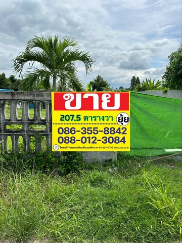 ขายที่ดินเปล่า ซอยวัดทุ่งเหียง เนื้อที่ 207.5 ตารางวา  พนัสนิคม   ชลบุรี    ZT323