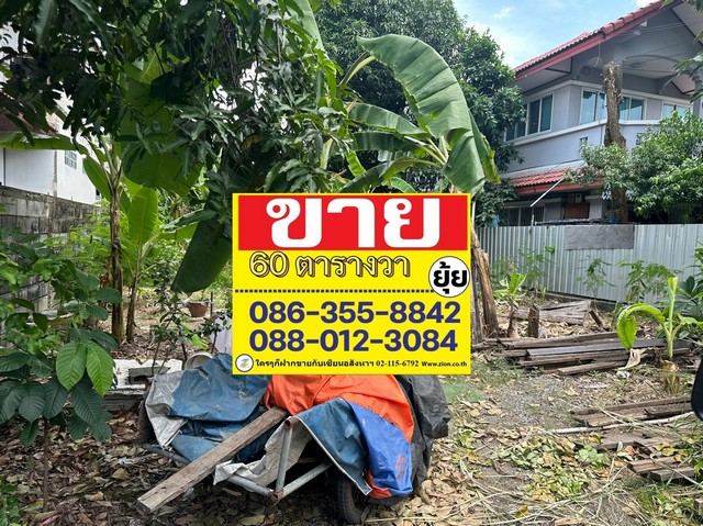 ขายที่ดิน 60 ตารางวา ซอยโกสุมรวมใจ 11  ใกล้ตลาดโกสุม  ดอนเมือง   ZT316