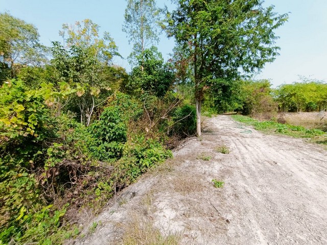 ขายที่ดิน 8-0-38 ไร่ ติดคลองสาธารณะประโยชน์  อ.เมือง จ.อุทัยธานี  ZK245