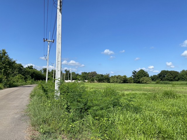 ขายด่วน ที่ดินสวย ติดถนนลาดยาง ต.บ้านใหม่หนองไทร อ.อรัญประเทศ จ.สระแก้ว