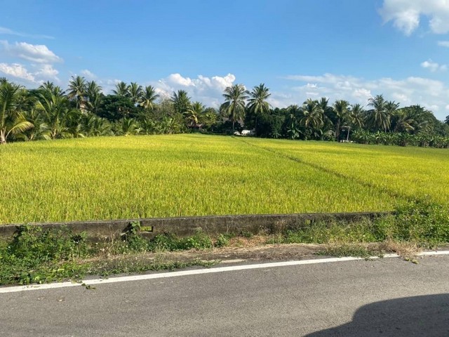 ขายที่ดินเปล่า พื้นที่ 1 ไร่ 1 งาน 26 ตรว 526 ตรว จาก รพ.ดอยสะเก็ด และ ถนนหลัก 4 เลน เพียง 4 กม