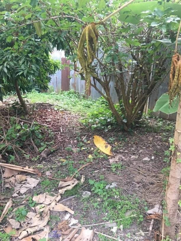 ที่ดินติดถนน ขายตรว.ละ 18,000 บาท 139.6 ตรว. ป่าแดด อำเภอเมือง ใกล้วัดท่าใหม่อิ ขายพร้อมบ้านหลังเล็ก 1 หลัง ทำเลดี ใกล้ตัวเมือง