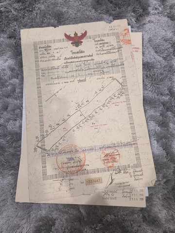 ขายที่ดิน 11 ไร่กว่า ใกล้ รพ.มหาราช เซ็นทรัล นครศรีธรรมราช