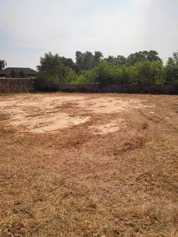 TEL : 061-979 5595 ดนิตาLine : https://line.me/ti/p/yxo92dHWP1เนื้อที่ 200 ตรว. เหมาะทำบ้านพูลวิลล่า บ้านพักตากอากาศกับบรรยากาศส่วนตัวไม่แออัดพื้นที่เนินน้ำไม่ท่วมพื้นที่ใกล้เคียงเป็นหมู่บ้านและรีสอร์ททำเลดีมาก ใกล้แหล่งชุมชน ใกล้เทศบาลหนองปรือ คูณคาเฟ่ถนนหนองไม้แก่น บางละมุง ชลบุรี F-A4