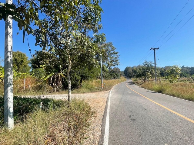 ขายที่ดินในอำเภอแม่แตง ตำบลขี้เหล็ก อำเภอแม่แตง เชียงใหม่ ติดถนนเส้นสันป่ายาง-แม่ริม ใกล้ อบต.สันป่ายางประมาณ 400 ม.