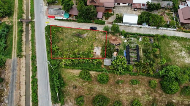 ด่วน ตัดราคาขายที่ดินติดถนนสาธารณะ 2 ด้าน ปลูกบ้าน หรือแบ่งขายได้