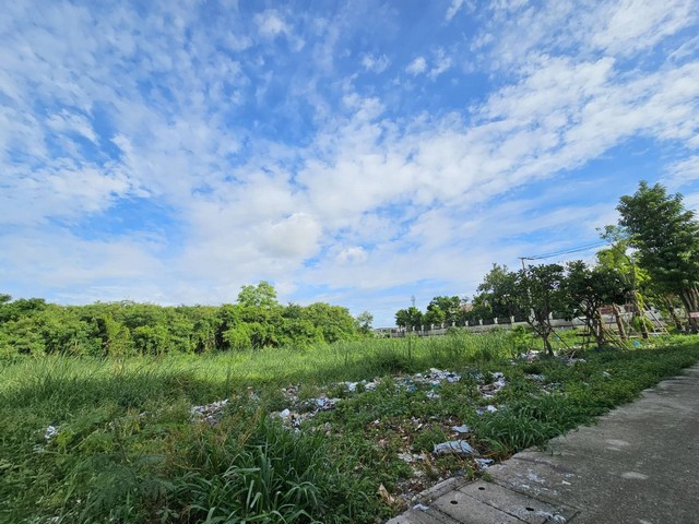 ขายที่ดิน ลาซาล แบริ่ง เส้นตัดใหม่ขนาด 306 ตารางวาหน้ากว้าง 35*35 เมตร โดยประมาณแปลงหัวมุม.สถานที่ใกล้เคียงBangkok patanaLa Salles AvenueSt Andrews International SchoolMega bangnaCentral Bangna..ราคาถูกที่สุดในย่านนี้เพียง 20 ล้าน เท่านั้นสนใจติดต่อ 061-624-7988Line ID @Deeasset (มี @ นำหน้า)