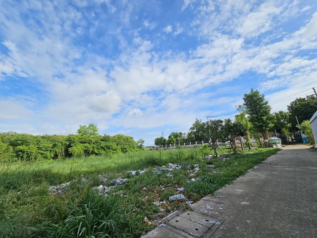ขายที่ดิน แบริ่ง ใกล้รถไฟฟ้า 306 ตารางวา ถนนกว้าง ถูกที่สุดในทำเลนี้