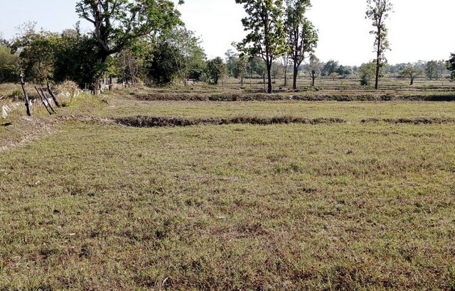 ZE616ขายด่วนที่นาสวย ด้านหน้าติดถนนสาธารณประโยชน์ ด้านหลังติดห้วยสาธารณประโยชน์ แหล่งน้ำธรรมชาติที่ตั้ง 23 หมู่ 14 ต.เสียว อ.เบญจลักษ์ จ.ศรีสะเกษพื้นที่   14 ไร่ - กว้าง  71 เมตร  ลึก 415  เมตร  โดยประมาณ- เหมาะทำโคกหนองนา, เกษตรอินทรีย์ พิกัดแปลงที่ดิน : https://maps.app.goo.gl/VtvGtFatRwXU1JD26สถานที่ใกล้เคียง  - วัดหนองปลาซิว  1,070  เมตร- ศูนย์รวมรถยนต์มือ 2 อารยะยนต์กิจ  1,450  เมตร- ถนน 24 โชคชัย-เดชอุดม 2,170  เมต