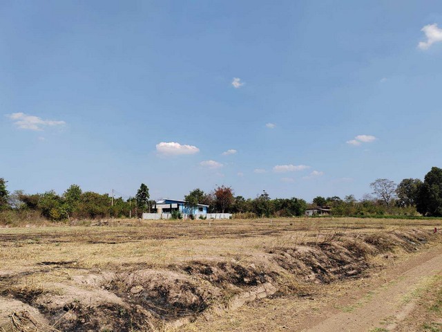 ขายทึ่ดินถมสูงสวย 1-0-42 ไร่  อยู่ในแหล่งชุมชน  ฝั่งตลาดโคกสูง  อ.เมือง   จ.นครราชสีมา    ZE621