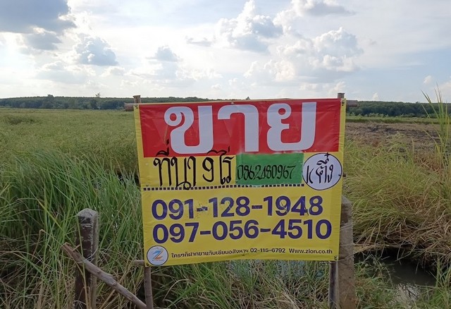 ZE618 ขายด่วนที่ดิน นาสวยดินงามเนื้อที่ 9 ไร่  ที่ตั้ง 88 หมู่ 4 ต.ทุ่งใหญ่ อ.กันทรลักษ์ จ.ศรีสระเกษหน้ากว้าง 59 เมตรลึก 300 เมตรพิกัดแปลงที่ดิน https://maps.app.goo.gl/FbBuc26nz3GscDt17สถานที่ไกล้เคียง-กลุ่มประมูลยางพาราซำตะวัน-ร้านกาแฟสด By คุณศิ-โรงเรียนบ้านทุ่งใหญ่-PTT Station-หน่วยเฉพาะกิจกรมทหารพรานที่23-ร้าน ช.รุ่งเรือง-ก๋วยเตี๋ยว 30 บาท-สวนประสานสุข-โคกหนองคูโมเดล-สวนทุเรียนตาแสง กันทรลักษ์ราคาเ