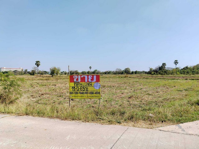 ZE605ขายดินสวย ในแหล่งชุมชน 11-0-85 ไร่ต.โคกสูง อ.เมือง   จ.นครราชสีมาที่ตั้ง : ถนนสุรนารายณ์ ต.โคกสูง อ.เมือง  จ.นครราชสีมาพื้นที่ : 11-0-85 ไร่  - หน้ากว้าง 75  เมตร   ลึก 365 เมตร  โดยประมาณสถานที่ใกล้เคียง-ใกล้วงแหวนและถนนบายพาส คมนาคมสะดวก-ใกล้โลตัส เซลทรัล ทอมินัล เดอะมอล ตลาดสด-โรงพยาบาล  ปั้มน้ำมัน ขนส่งเหมาะแก่การประกอบกิจการ : โครงการหมู่บ้านจัดสรร  โกดังสินค้า โรงงาน  กิจกา