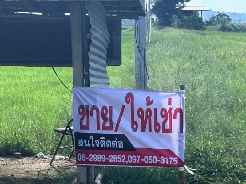 ขายที่ดิน แปลงนา พร้อมสิ่งปลูกสร้าง จ.สุพรรณบุรีที่ตั้ง : เขาปูน ต.หัวเขา อำเภอเดิมบางนางบวช สุพรรณบุรี 72120พิกัด : https://maps.app.goo.gl/QvvmCRzGZgz5FSv79ขนาดพื้นที่ : 5 ไร่รายละเอียดขายที่ดิน แปลงนา มีน้ำ ไฟฟ้าพร้อมบ้าน ที่ดินติดถนนสาธารณะ บรรยากาศร่มรื่น ลมเย็นสดชื่น ทำนาได้ทั้งปี หรือจะแบ่งออกมาทำอย่างก็ยังได้  สถานที่ใกล้เคียง- วัดหัวเขา- ศาลาหลวงพ่อปากดง สุโขทัย- วัดไทร- วัดหัวเ