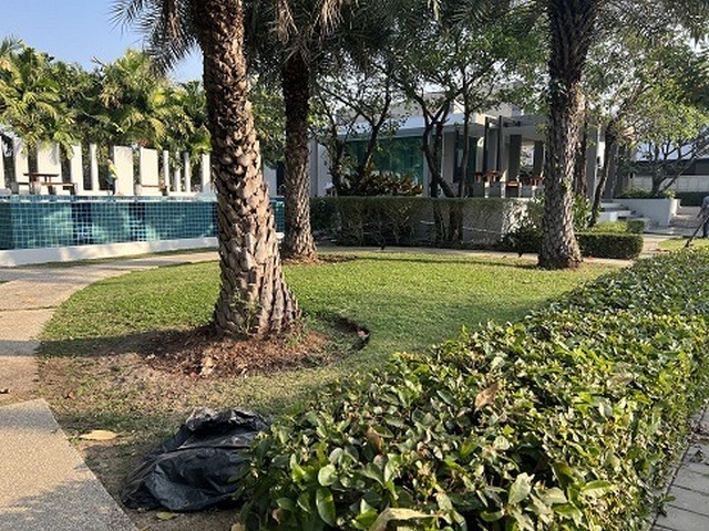 ขาย ทาวน์เฮ้าส์ หมู่บ้าน สินทรัพย์นคร สะพานใหม่ ถนนเทพรักษ์