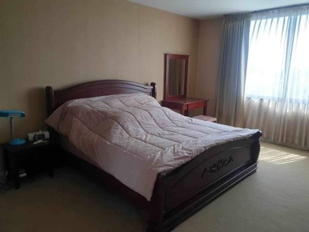 โซนห้วยแก้ว ขาย 3.8 ล้าน 90 ตรม. ทรีโอ คอนโด ห้องใหญ่ เฟอร์นิเจอร์นำเข้าจากฝรั่งเศส ใกล้มช. ใกล้เมญ่า รายล้อมด้วยร้านอาหาร คาเฟ่