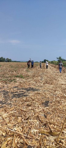 ขายด่วน ที่ดินสวยเนื้อที่ 100 ไร่  ตำบลจันทึก อำเภอปากช่อง จังหวัดนครราชสีมา 