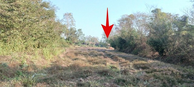 ZE614ขายที่ดิน ติดถนนหลัก221 (กันทรลักษ์-ศรีสะเกษ)เนื้อที่ 18 ไร่  ต.กระแชง อ.กันทรลักษ์ จ.ศรีสระเกษหน้ากว้าง 20 เมตรลึก 80 เมตรพิกัดแปลงที่ดิน https://maps.app.goo.gl/35Xu9P7i6wXQPLc69สถานที่ไกล้เคียง-ต้นน้ำรีสอร์ท -ชวนเจริญข้าวสาร-บริษัท สุริยายานยนต์ -คิงส์ชัตเตอร์789-หจก.กันทรลักษ์คอนกรีต-ปั้มน้ำมันบางจาก-องค์การบริหารส่วนตำบล-ศรีษะอโศก-สำนักงานขนส่ง-ค่ายลูกเสือกันทรลักษ์-สำนักเขตการศึกษ