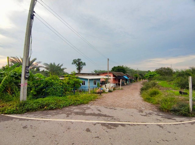 ขายที่ดินสวยสวนอินทผาลัมท่าทราย พื้นที่ 3-1-18 ไร่ เป็นแหล่งท่องเที่ยวเก็บผลผลิตได้ ใกล้พระราม2 อ.เมืองสมุทรสาคร   ZW329