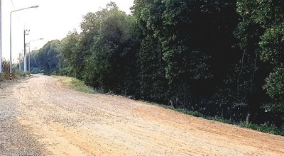 ขายที่ดินเปล่า 55 ไร่ 93 ตารางวา  บางตะบูน  บ้านแหลม จ.เพชรบุรี