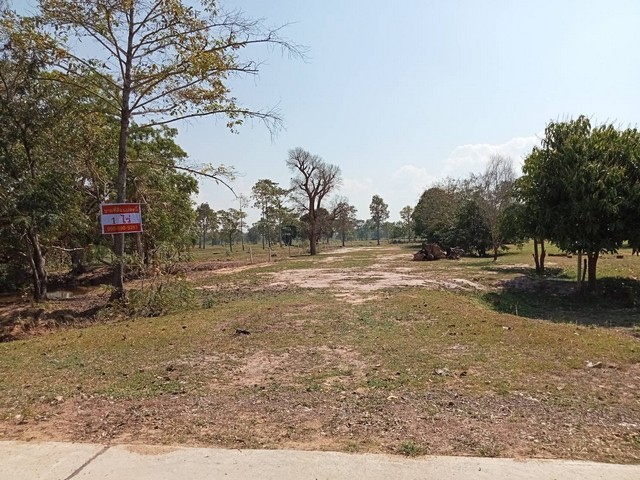 ขายที่ดินทำเลดี  เนื้อที่  1ไร่ ราคาถูกเจ้าของขายเอง ตำบลหนองฉลอง อำเภอขุขันธ์ จังหวัดศรีสะเกษ